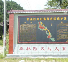 松溪白马山自然保护区