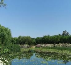 三里河生态走廊