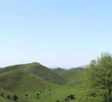 南楼寺景区冰泉养生谷