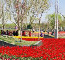 廊坊市文化公园